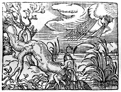 Bruno Salomone Dies at 55: Remembering Fais Pas Ci, Fais Pas Ça Star